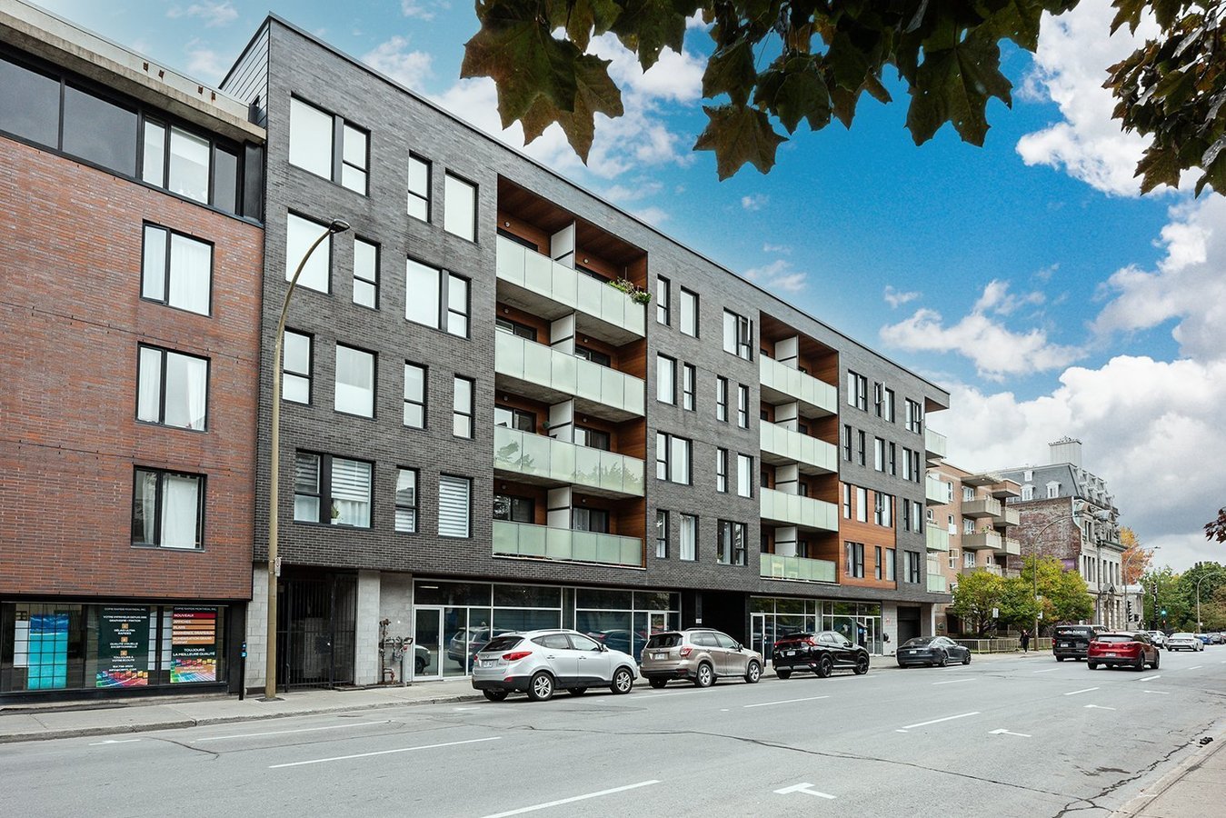 2229 Rue Sainte-Catherine Est - Photo 10