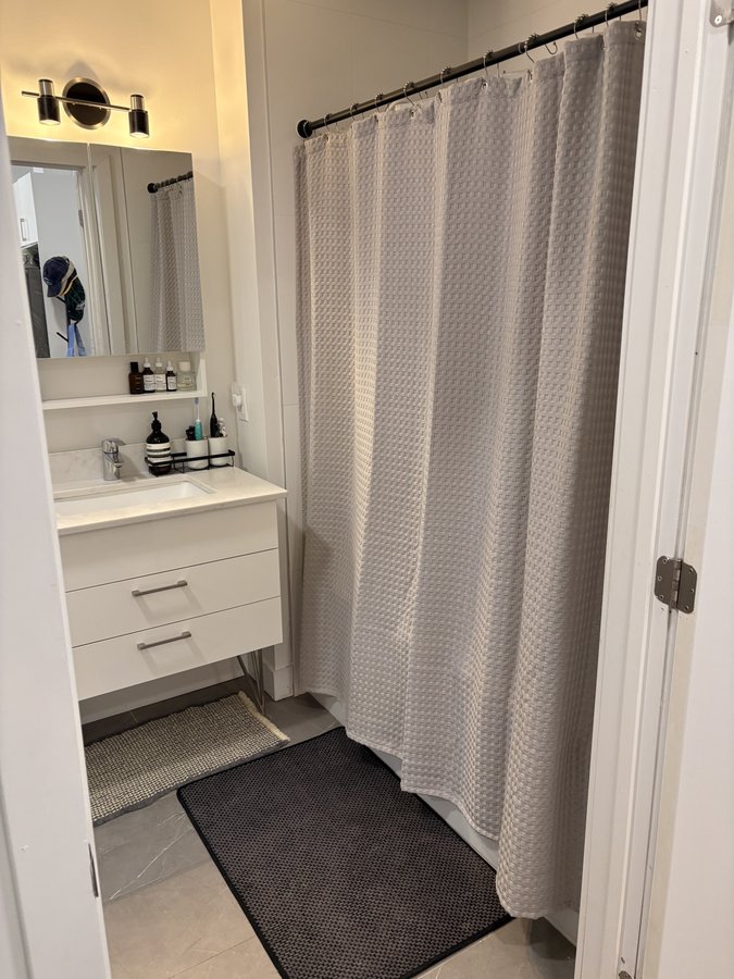 5480 Avenue Henri-Julien - Photo 5