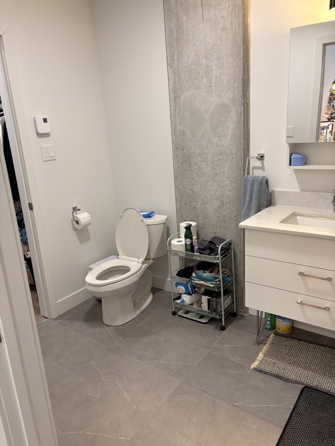 5480 Avenue Henri-Julien - Photo 6