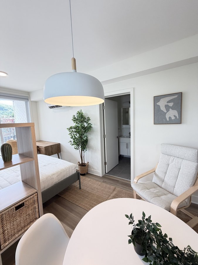 3981 Rue Saint-Dominique - Photo 10