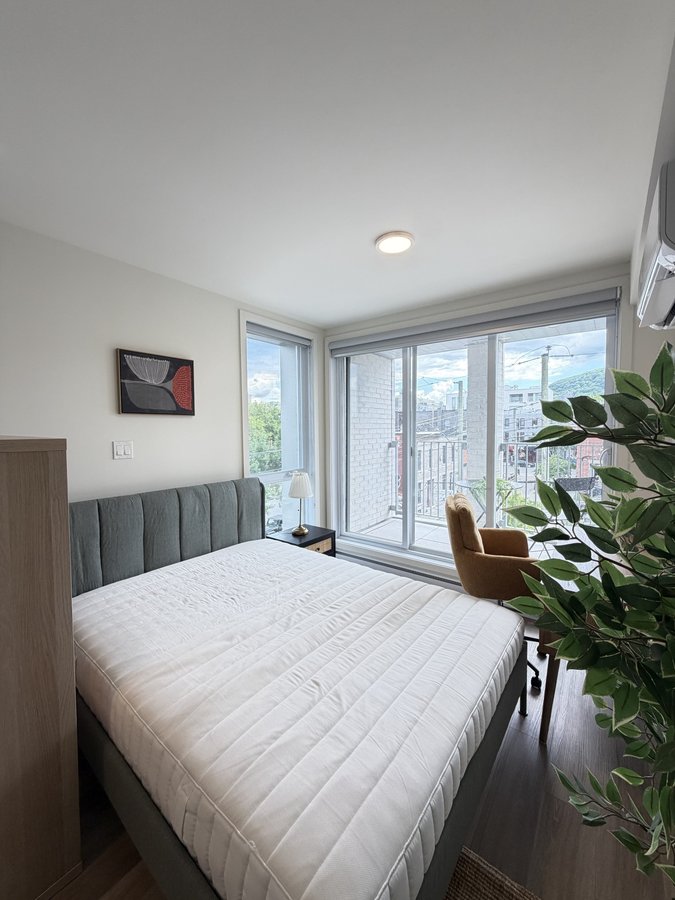 3981 Rue Saint-Dominique - Photo 11