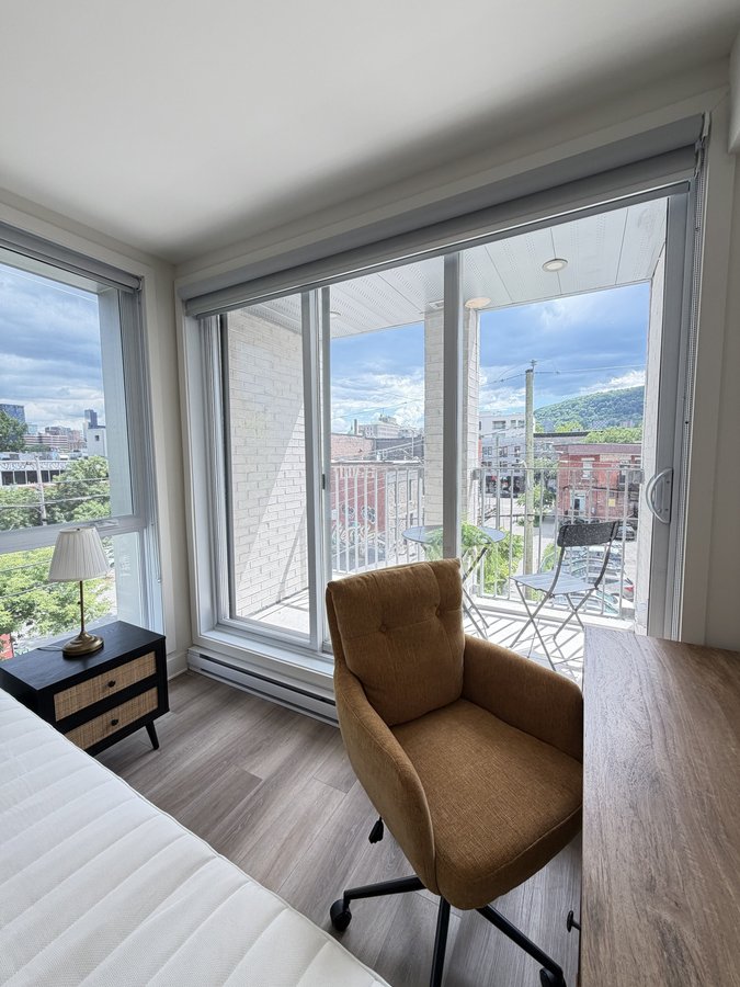 3981 Rue Saint-Dominique - Photo 13