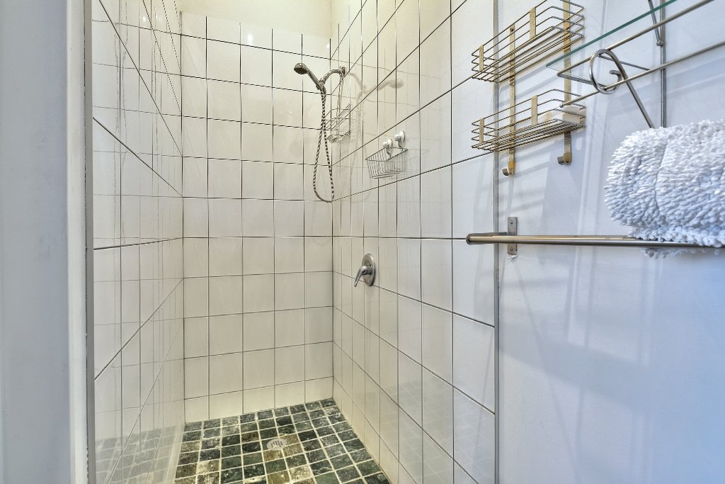 4219 Rue Drolet - Photo 9