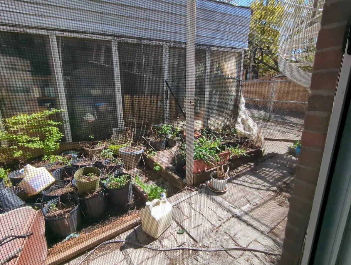 3440 Rue Workman - Photo 10