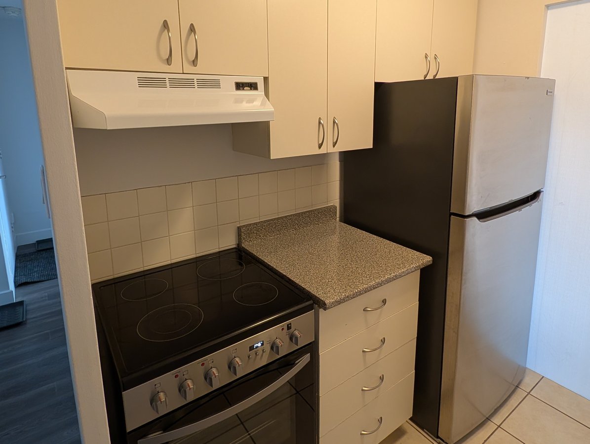 135 Rue Sherbrooke Est - Photo 7