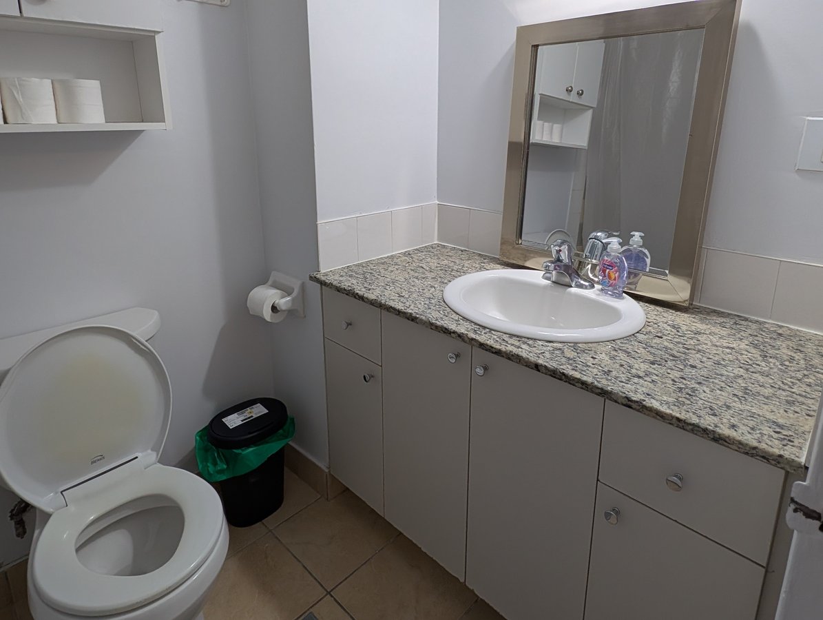135 Rue Sherbrooke Est - Photo 8