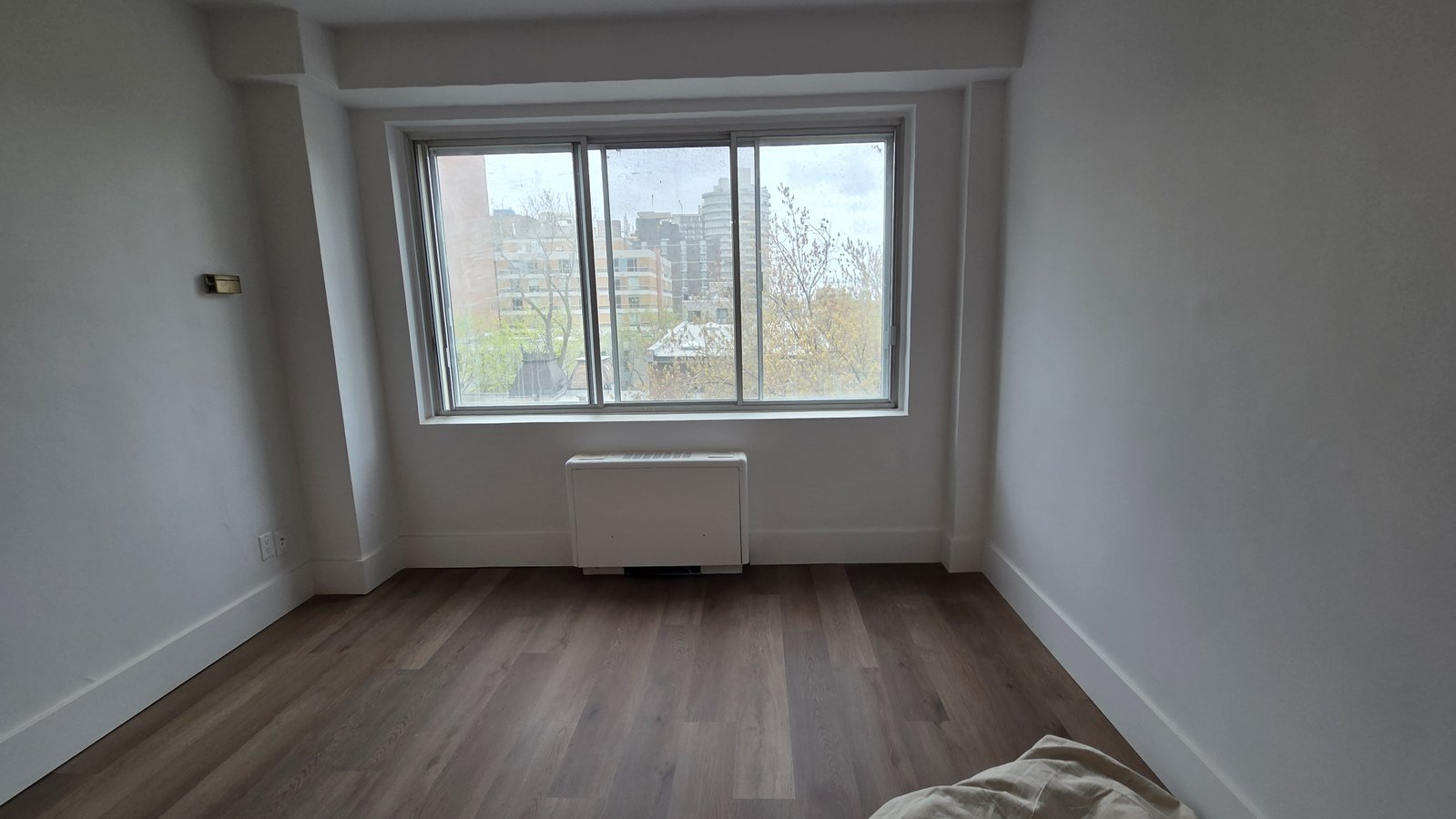 3433 Rue Durocher - Photo 5