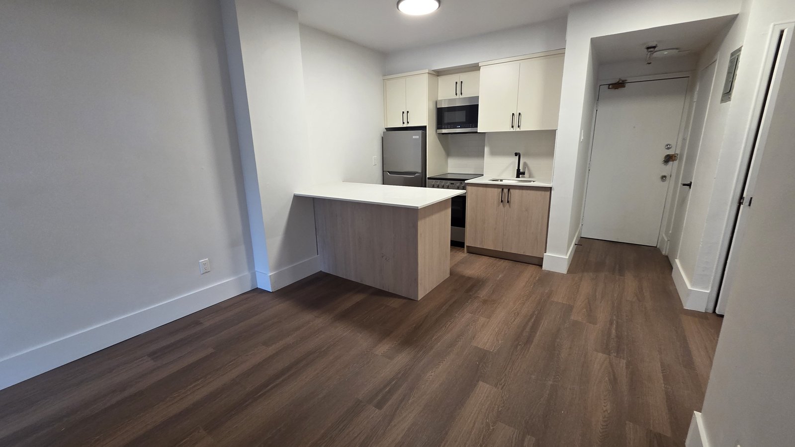 3433 Rue Durocher - Photo 1