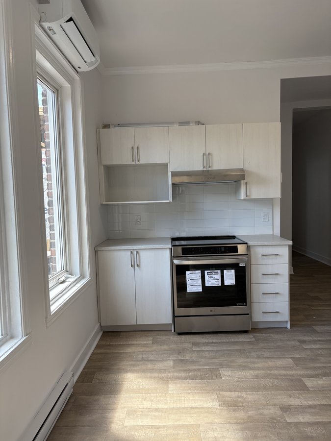 1340 Rue Sainte-Catherine Est - Photo 2