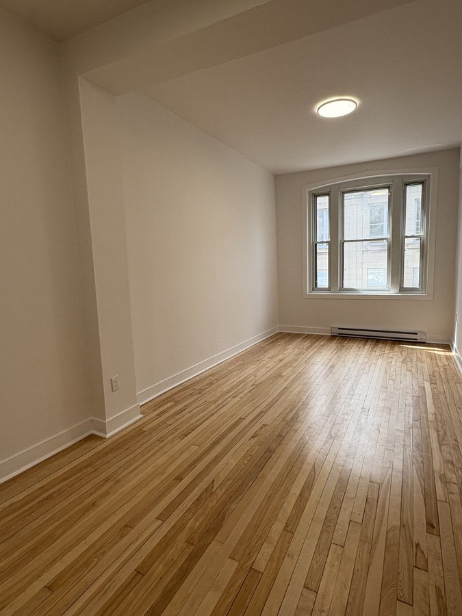 1340 Rue Sainte-Catherine Est - Photo 9