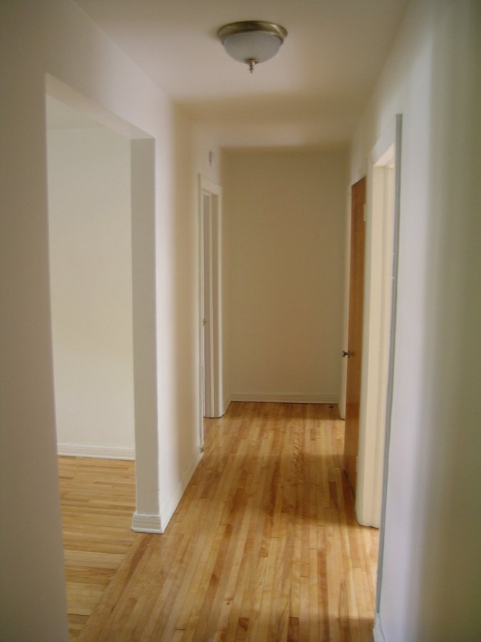 2056 Avenue Trenholme - Photo 8