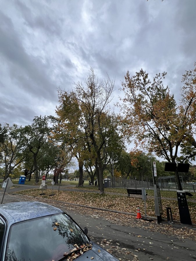 4365 Avenue de l'Esplanade - Photo 11