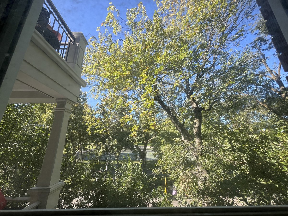 4365 Avenue de l'Esplanade - Photo 12