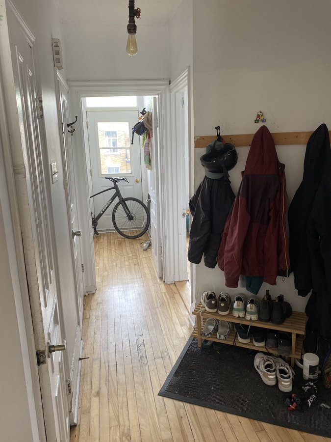 4422 Rue Saint-Urbain - Photo 6