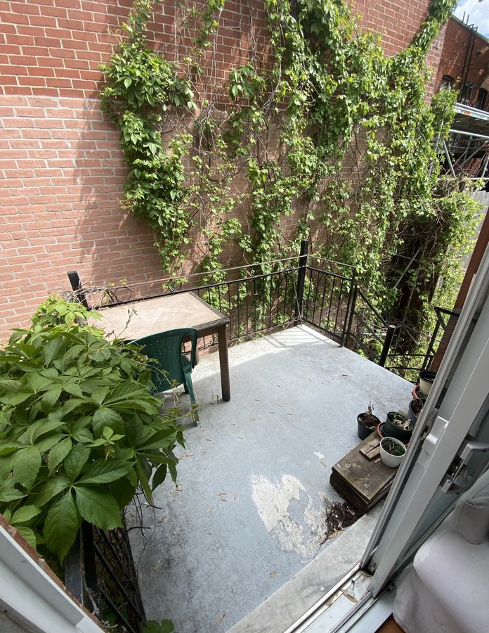 4422 Rue Saint-Urbain - Photo 8