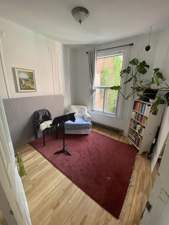 4422 Rue Saint-Urbain - Photo 3
