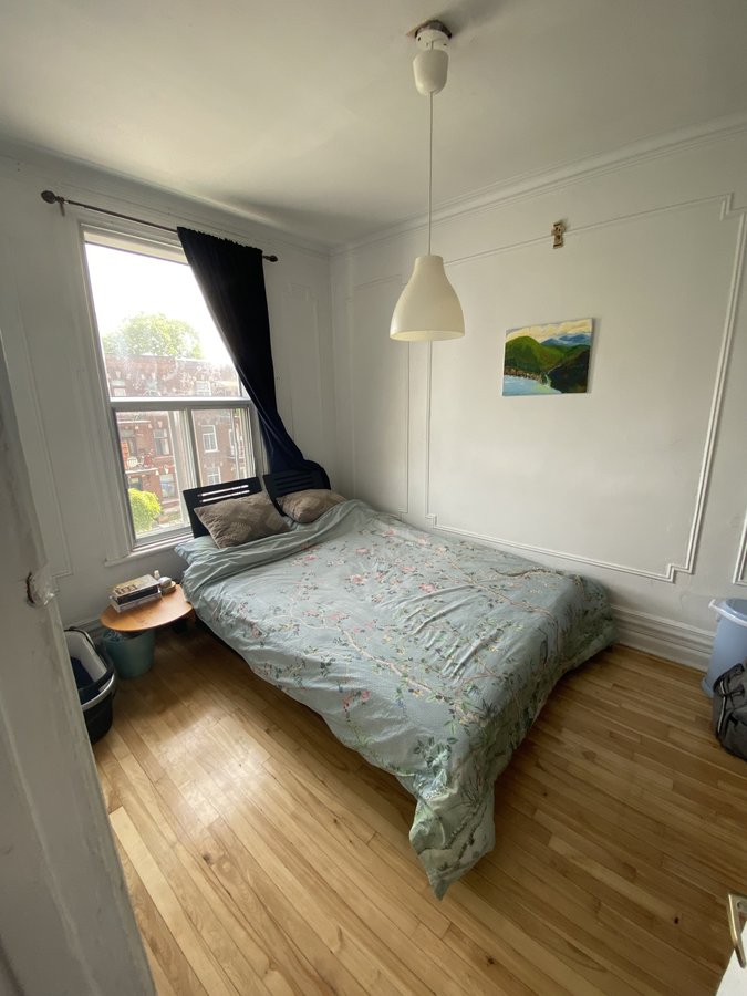4422 Rue Saint-Urbain - Photo 4