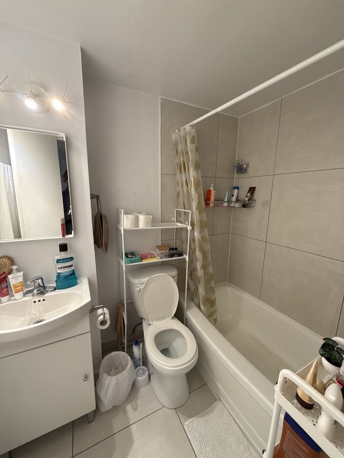 1565 Rue Rachel Est - Photo 3