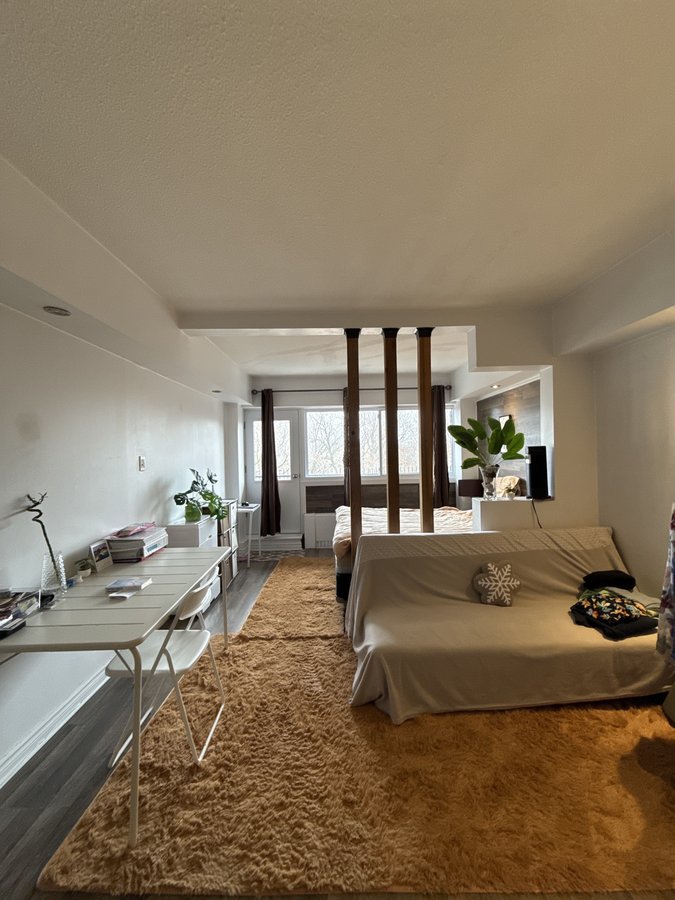 1565 Rue Rachel Est - Photo 5