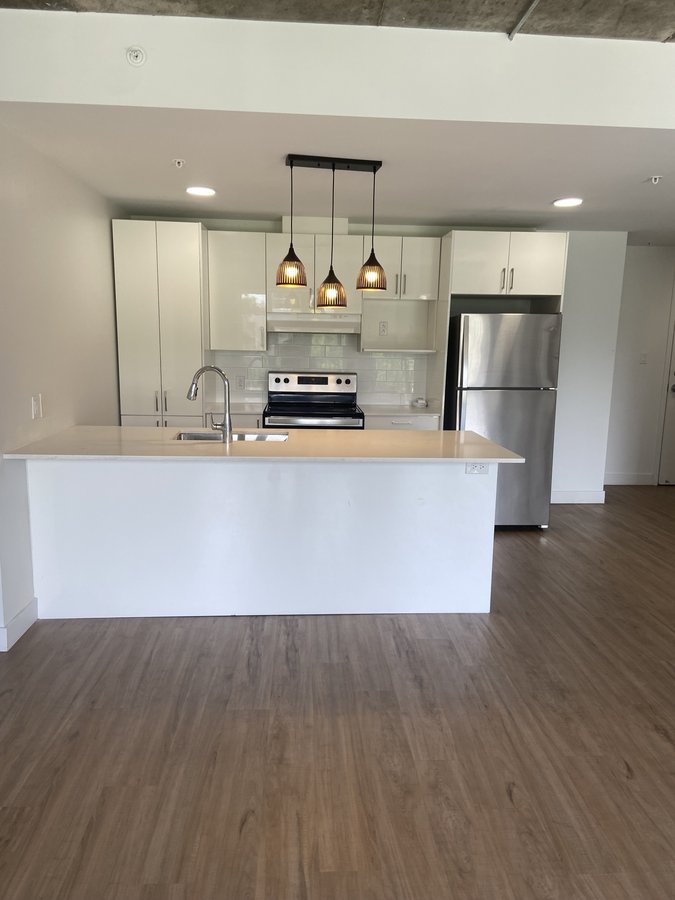 5480 Avenue Henri-Julien - Photo 3