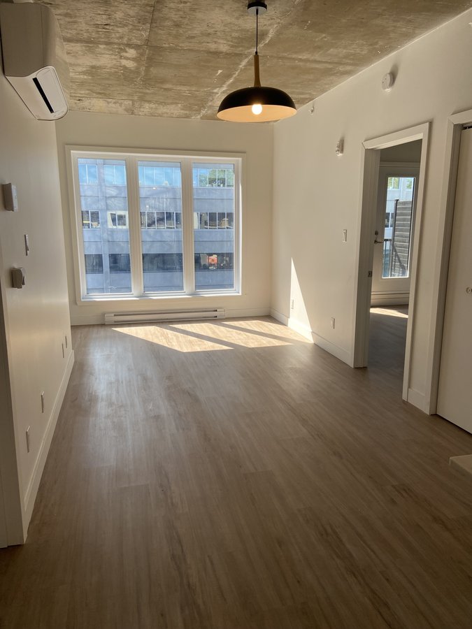 5480 Avenue Henri-Julien - Photo 4