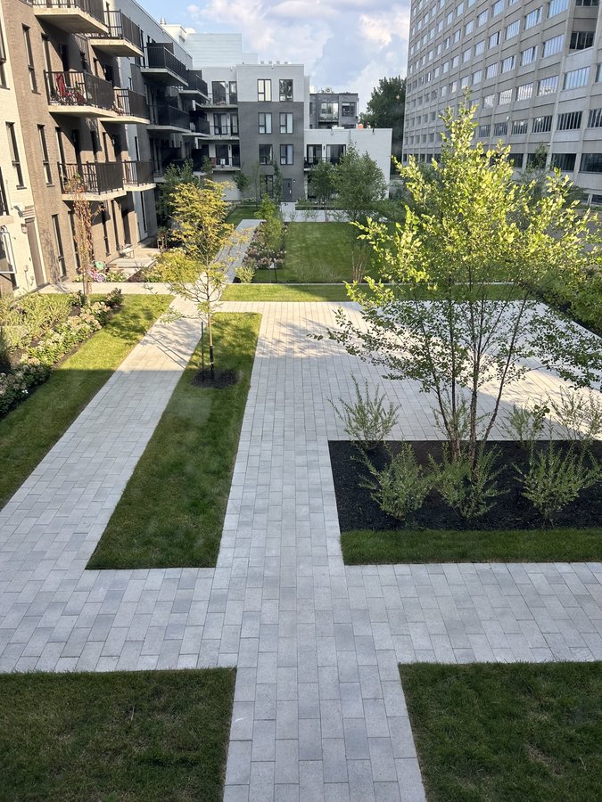 5480 Avenue Henri-Julien - Photo 2