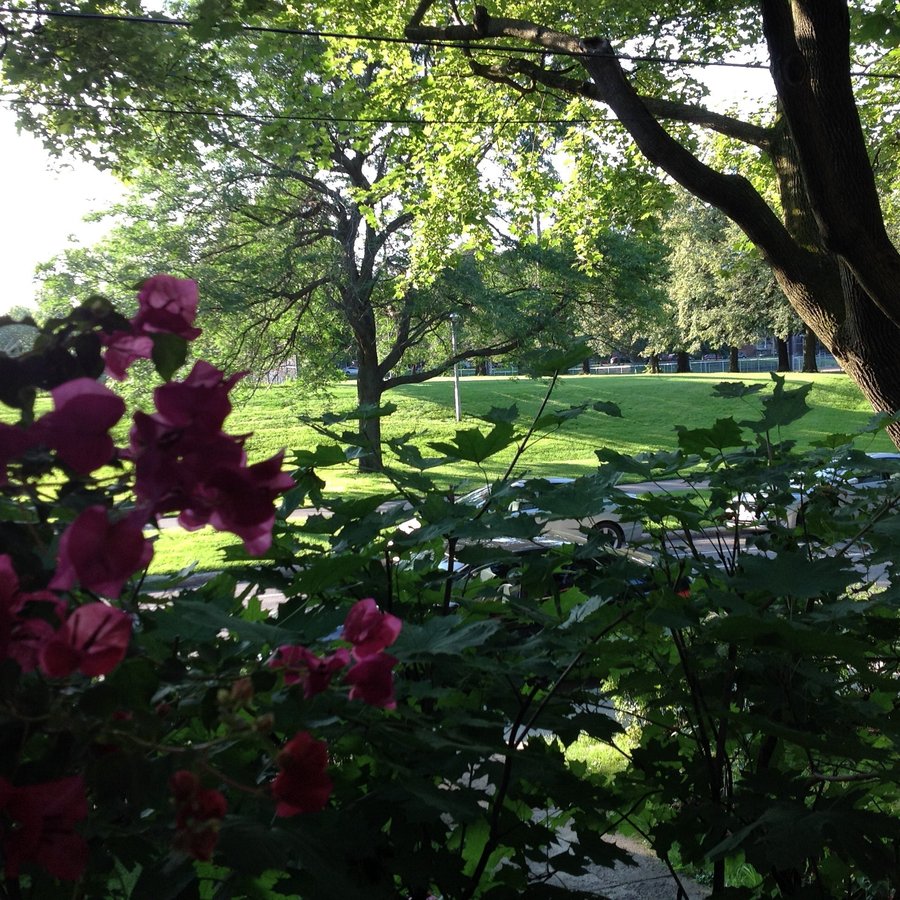Avenue Appleton - Photo 2