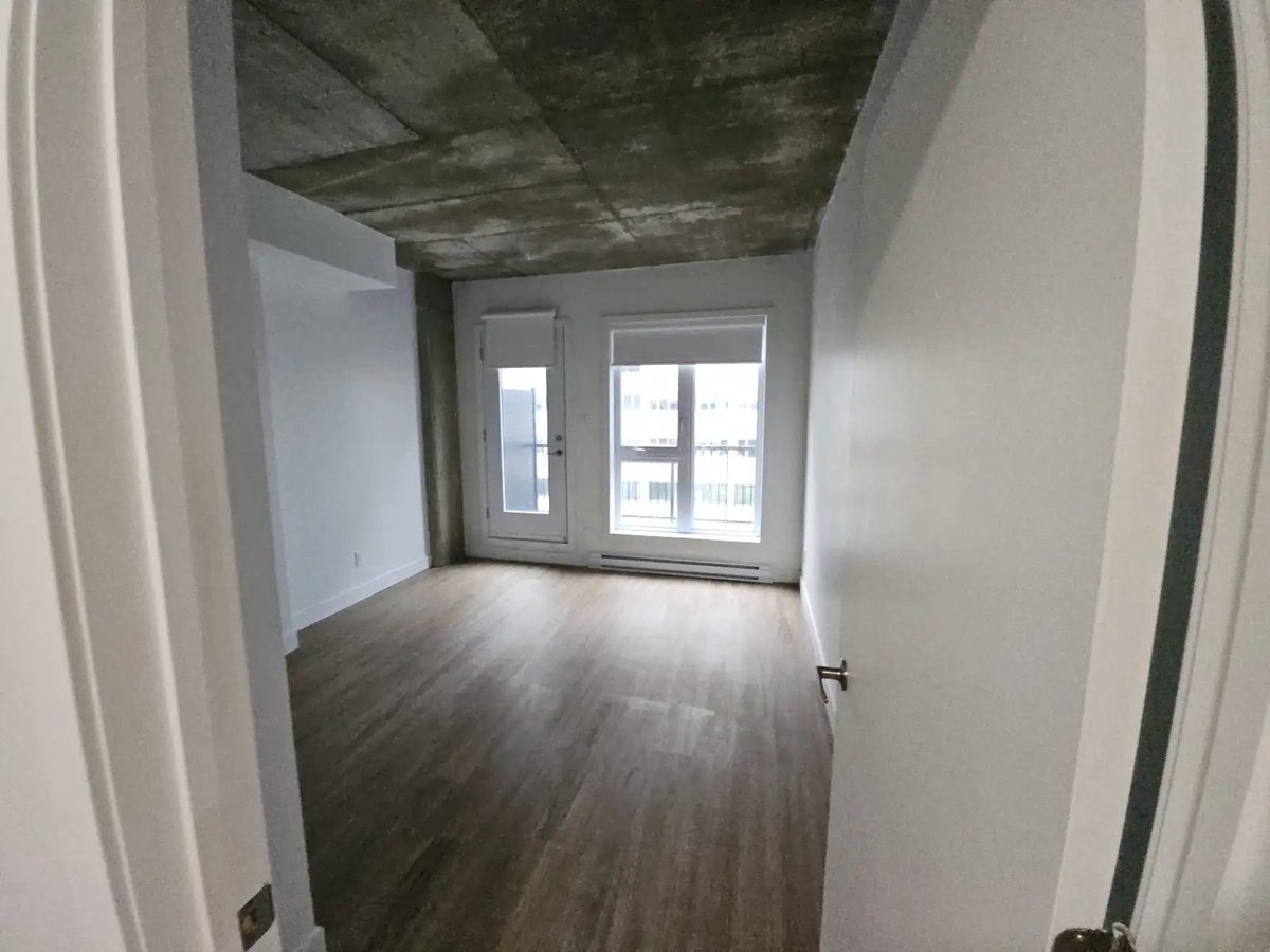 5480 Avenue Henri-Julien - Photo 5