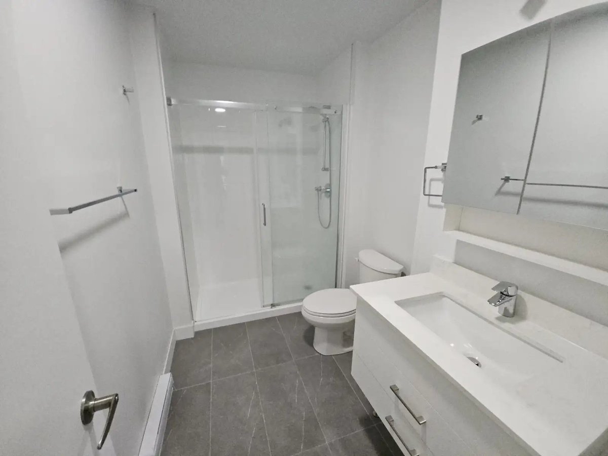 5480 Avenue Henri-Julien - Photo 7