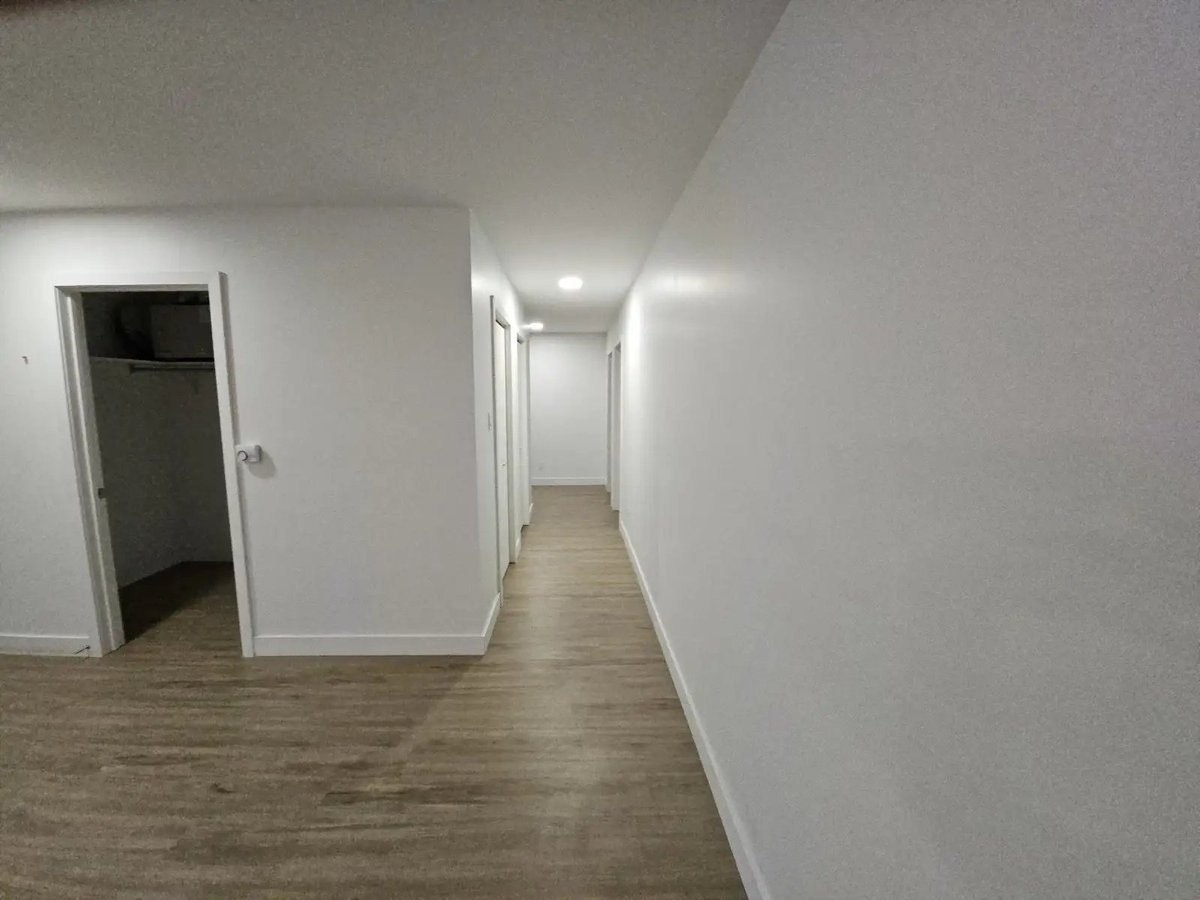 5480 Avenue Henri-Julien - Photo 3