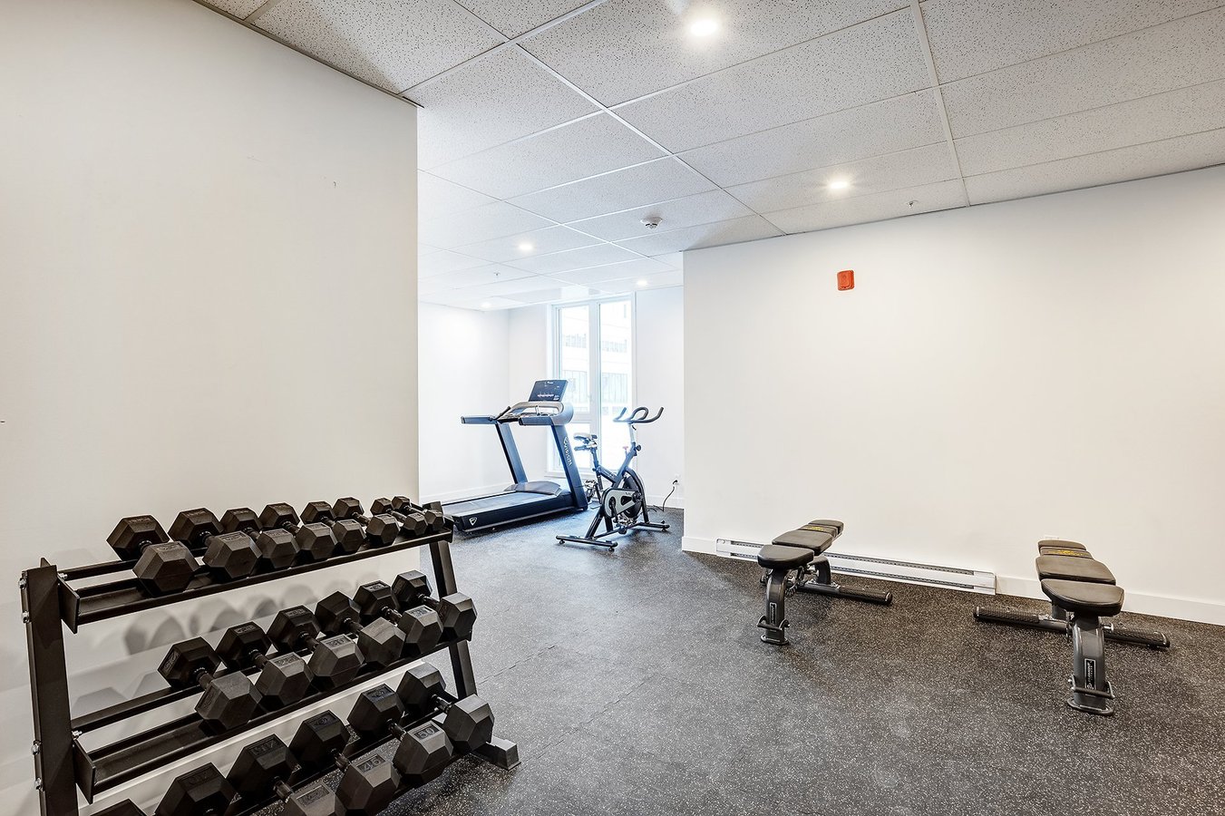 5480 Avenue Henri-Julien - Photo 12