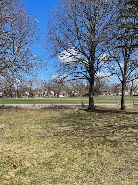 5170 Avenue West Hill - Photo 9