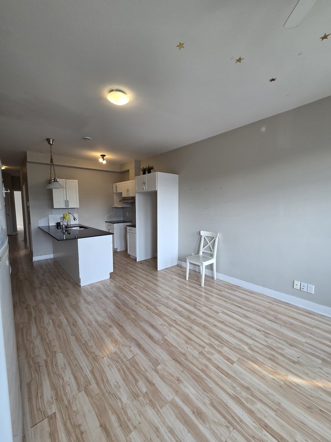 4516 Boulevard Décarie - Photo 13
