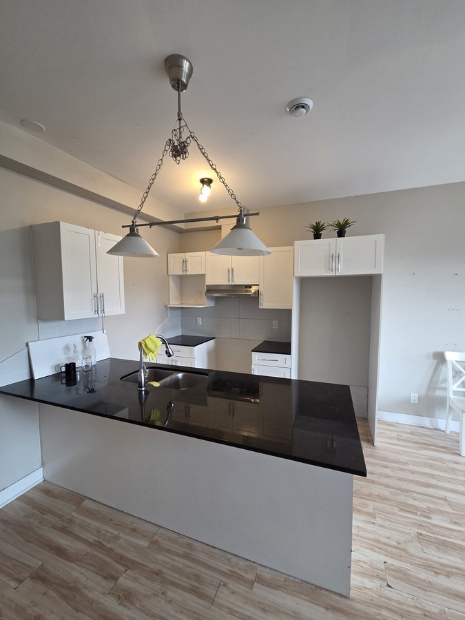 4516 Boulevard Décarie - Photo 14