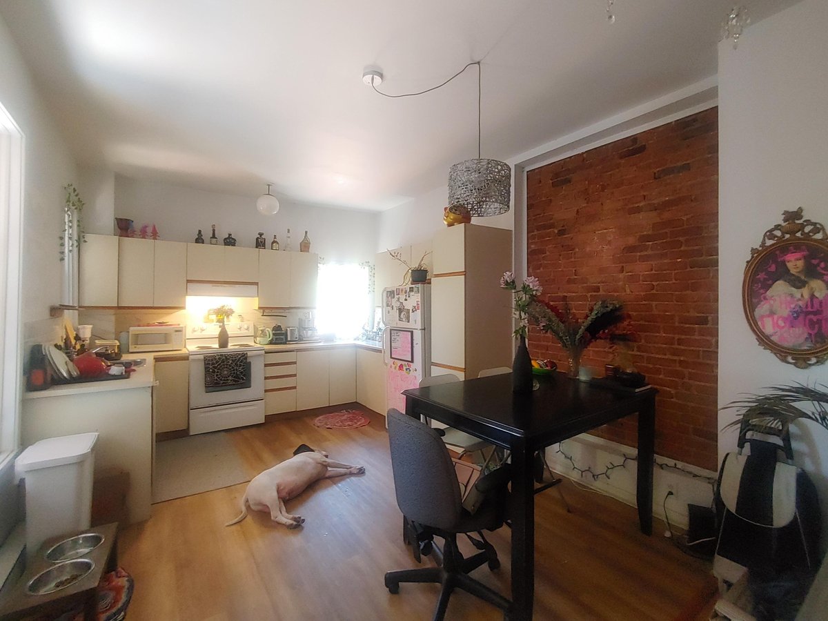 3589 Rue Ontario Est - Photo 4