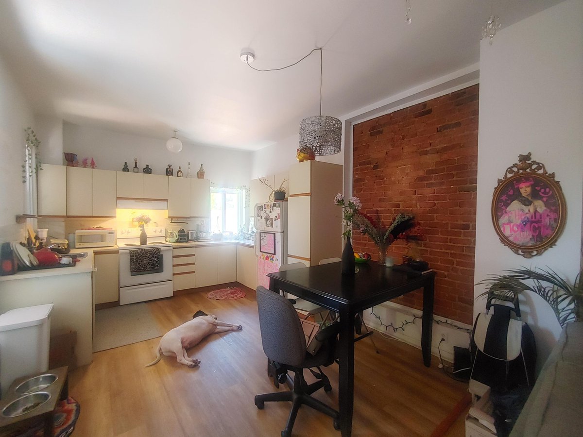 3589 Rue Ontario Est - Photo 5
