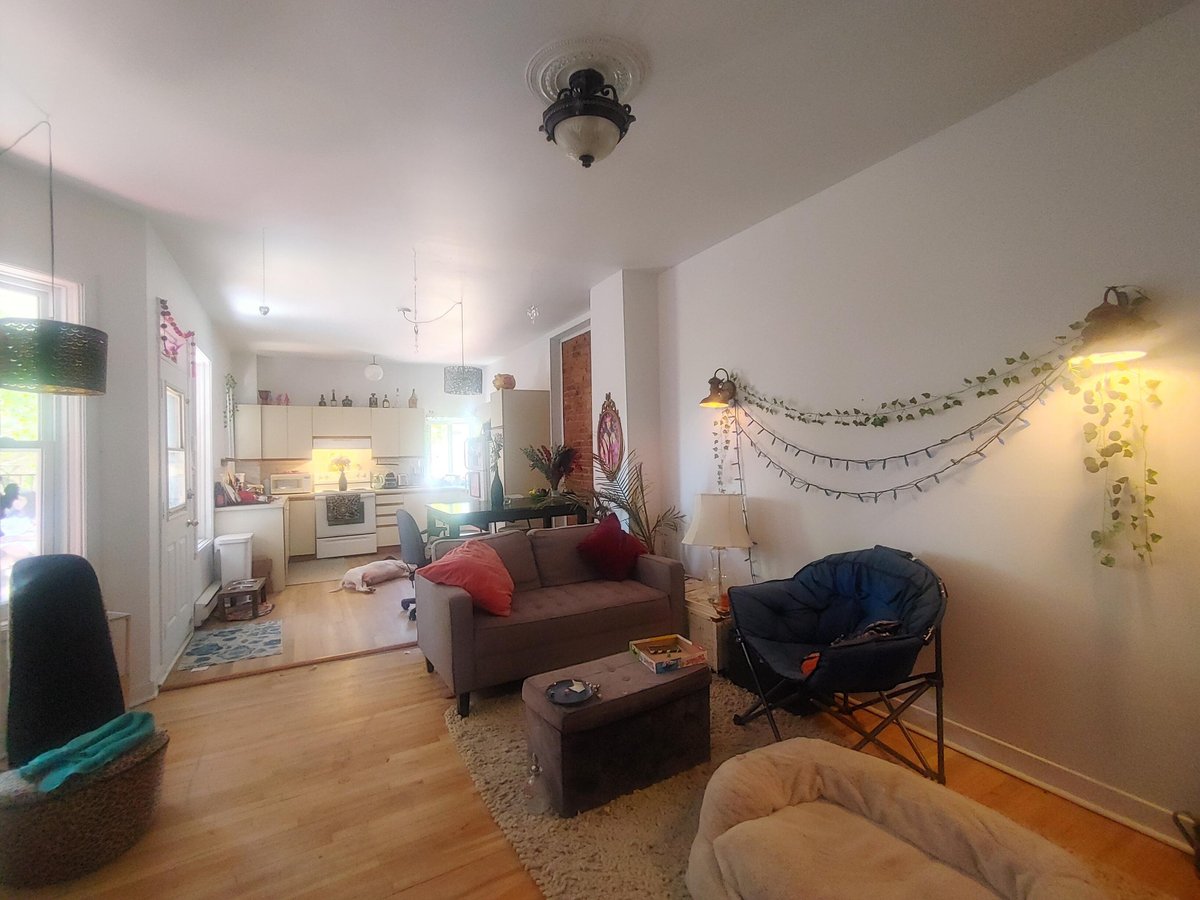 3589 Rue Ontario Est - Photo 3