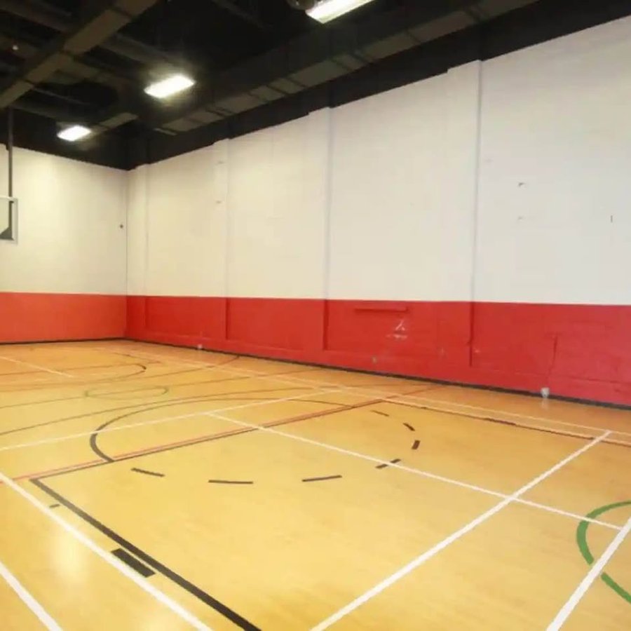 790 Rue Rose-de-Lima - Photo 16