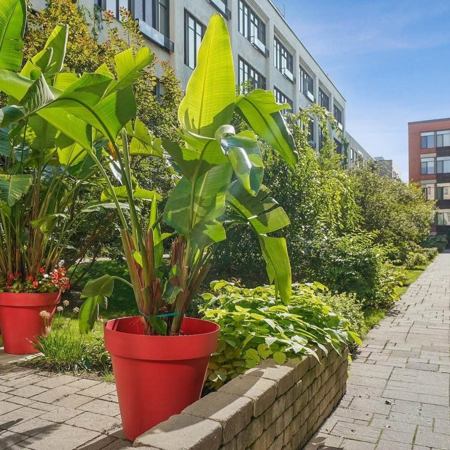 790 Rue Rose-de-Lima - Photo 17