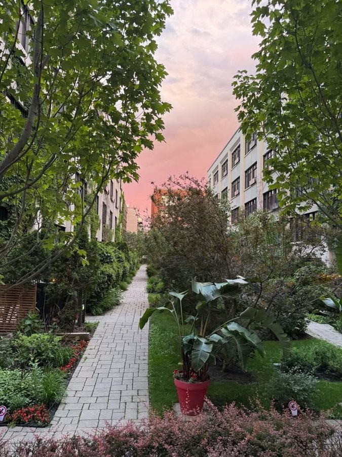 790 Rue Rose-de-Lima - Photo 19