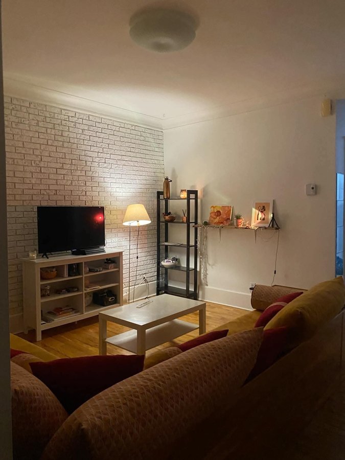 5884 Rue Boyer - Photo 8