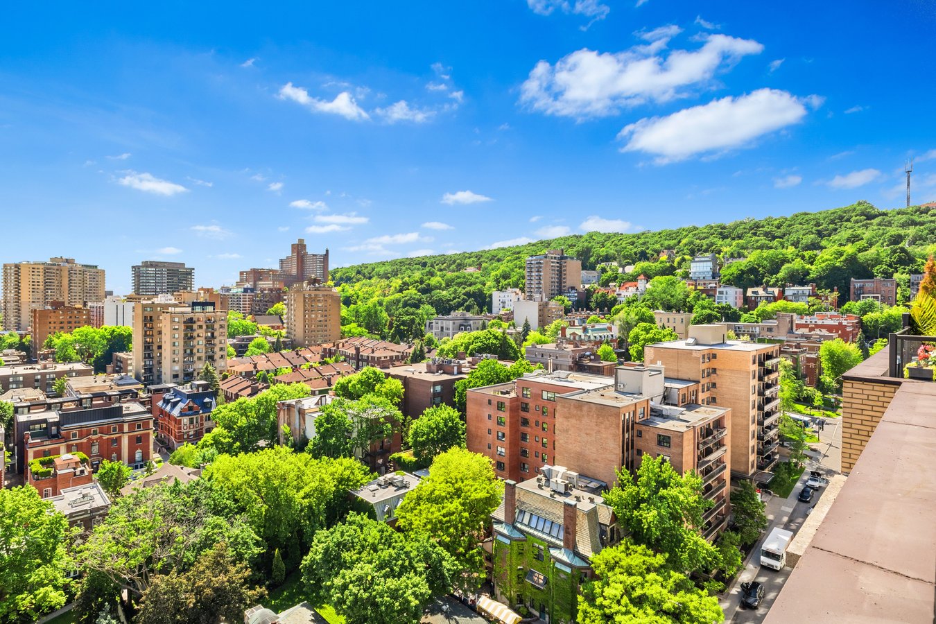 3475 Rue de la Montagne - Photo 12