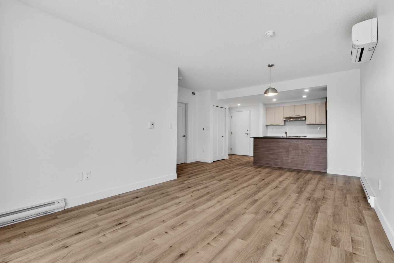 9355 Rue Sherbrooke Est - Photo 9