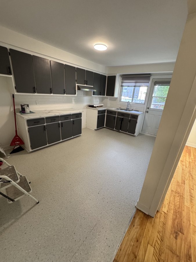 6978 Rue Hutchison - Photo 6