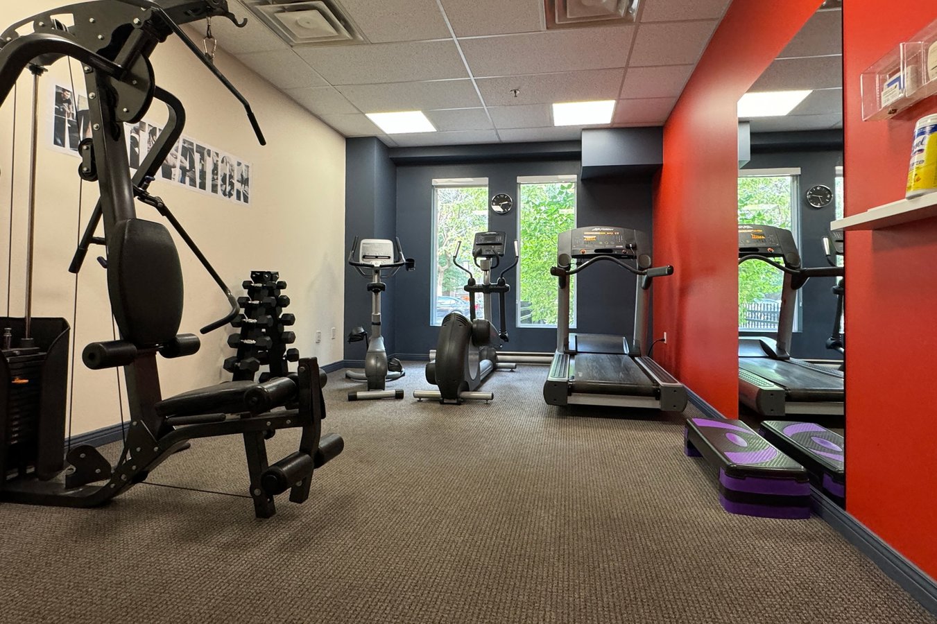 651 Rue de la Montagne - Photo 15
