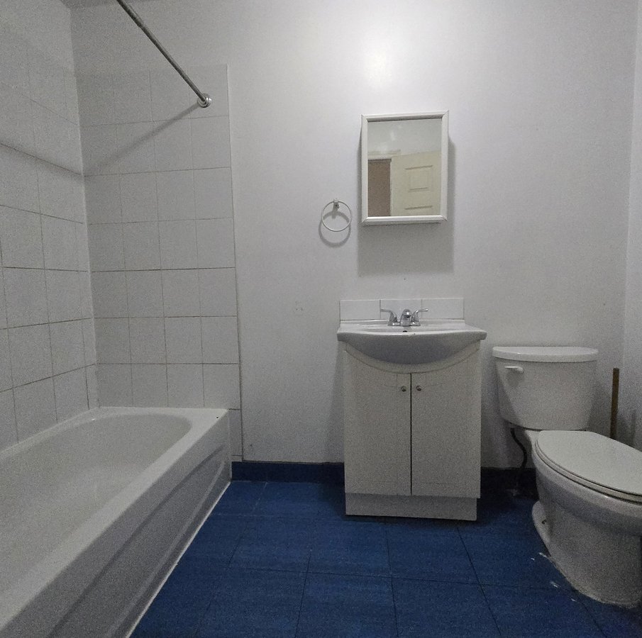209 Avenue du Mont-Royal Ouest - Photo 8