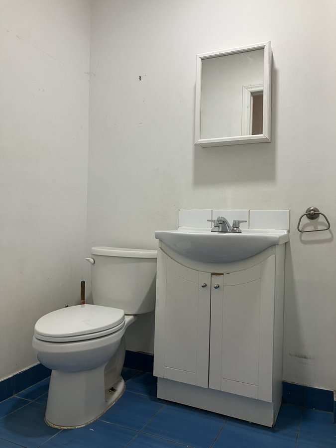 209 Avenue du Mont-Royal Ouest - Photo 7