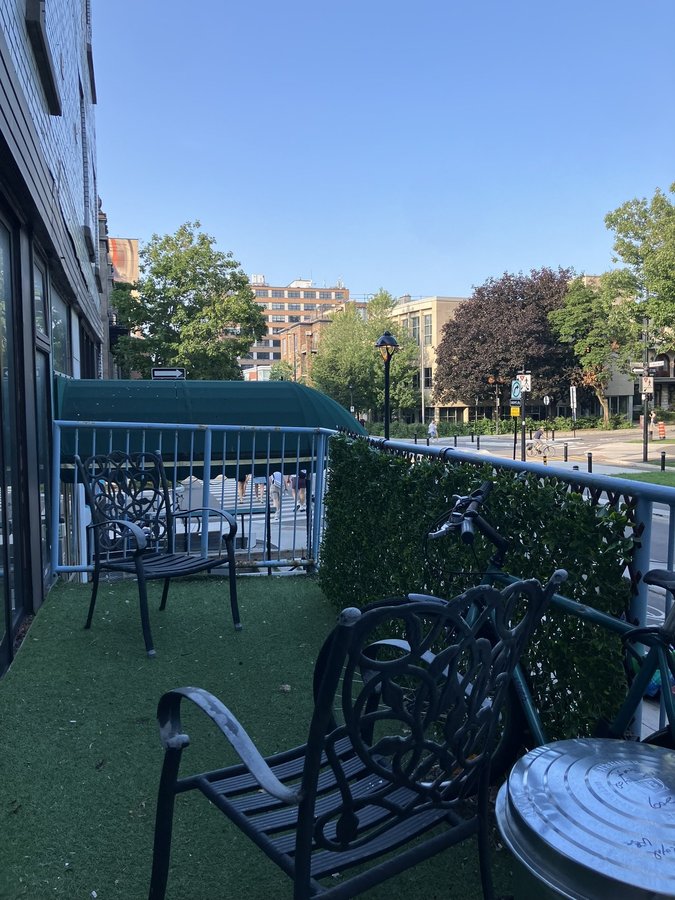 209 Avenue du Mont-Royal Ouest - Photo 9