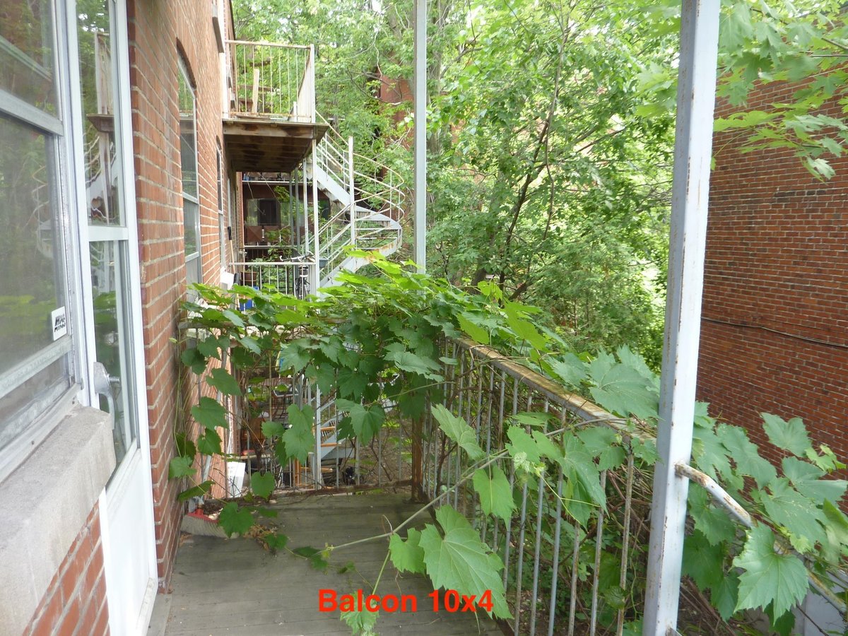 5520 Avenue Avonmore - Photo 9