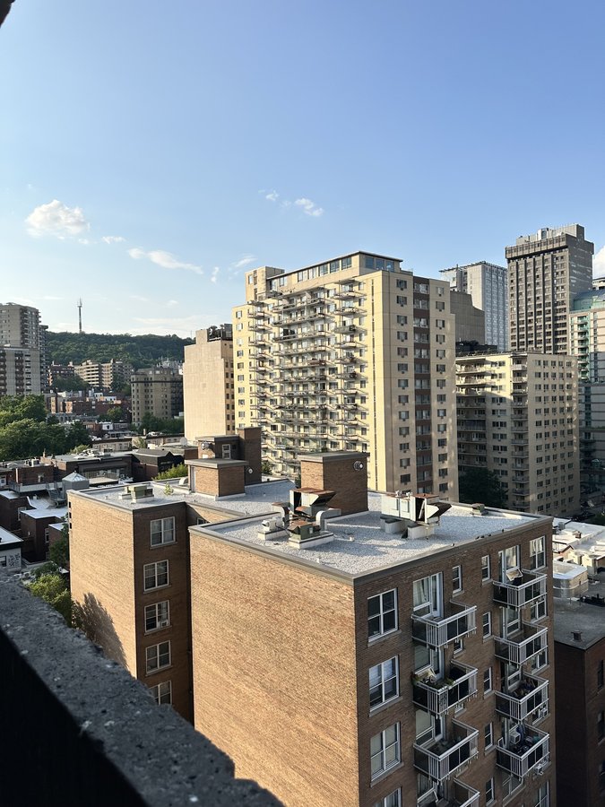2125 Rue Saint Marc - Photo 10